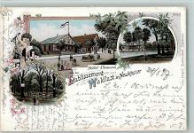 21614 W2150 Neukloster , Niederelbe 1897 Gebrauchsspuren Gruss aus - Lithographie - Etablissement Waldlust AK