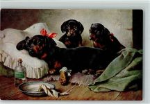 TSN Serie 1915 - Dackel mit Medizin AK Dackel