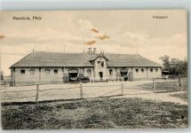 67454 W6733 Haßloch , Pfalz 1918 - Fohlenhof Pferde