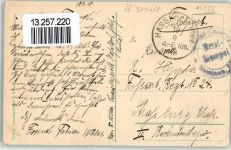 67454 W6733 Haßloch , Pfalz 1918 - Fohlenhof Pferde
