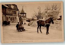 98559 O6055 Oberhof , Thüringen - Pferd Schlitten Villa Regine Winter