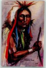 sign. L. Peterson Nr 3422 Chief Yellow Hawk Indianer Prägedruck