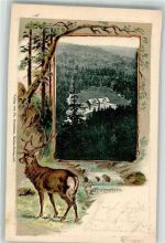 72270 W7292 Ruhestein Prägedruck Hirsch Ruhestein Passepartout