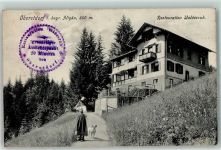 87561 W8980 Oberstdorf 1908 - Restauration Waldesruh Hüttenstempel Hund
