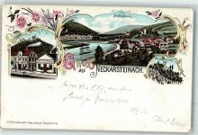 69239 W6918 Neckarsteinach 1897 Gebrauchsspuren Burg Schwalbennest Cafe Neckarschleife Lithographie