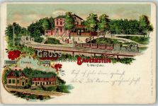 08412 O9620 Werdau , Sachs 1902 Gebrauchsspuren Gruss von Haltestelle Bauernsteig Försterei Eisenbahn Lok Blumen Lithographie Bahnpost Werdau