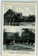 29578 W3111 Eimke Foto AK Dorfstraße Villa Dittmeier's Garten