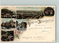 76887 W6748 Bad Bergzabern 1899 Lithographie Louisenhöhe Erholungshaus Schloß Kurhaus Bopp Marktplatz