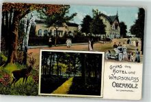 04103 O7125 Liebertwolkwitz 1917 Lithographie Hotel Waldschloß Oberholz Rehbock Waldweg Cabrio-Oldtimer
