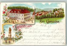 01816 O8302 Bad Gottleuba 1899 Lithographie Gasthaus Zum Kronprinz Denkmal