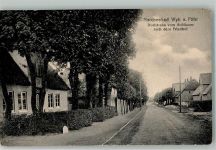 25938 W2270 Wyk auf Föhr 1891 - Dorfstraße