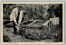 25946 W2278 Norddorf , Amrum Foto AK Entenfänger bei der Arbeit Gefangene Spießenten
