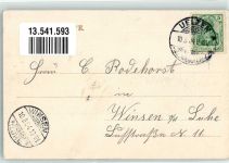 29525 W3110 Uelzen , Lüneburger Heide 1904 - Bahnhof
