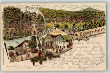 65779 W6233 Eppenhain , Taunus 1903 Lithographie Rossert Schutzhütte Teufelskanzel Gasthaus Zur Taunus Ruhe Gasthaus Zum Taunus