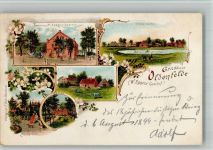 20095 W2000 Rahlstedt 1899 BOAKC Lithographie Oldenfelde Gasthaus Egger Garten Rinderweide Steingrotte