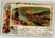 W6903 Neckargemünd Werbung Weingroßhandlung J.F. Menzer Hoffmann, H. 1899 Lithographie / Künstlerkarte