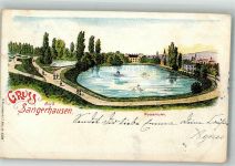 06526 O4700 Sangerhausen 1903 Lithographie Rosarium Schwanenteich