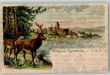 23909 W2418 Ratzeburg 1900 Gebrauchsspuren Hirsch Lithographie