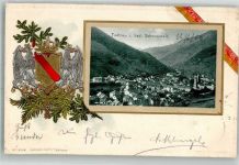 79674 W7868 Todtnau 1903 Prägedruck Kirche St. Johannes der Täufer Wappen Bahnpost Zell- Passepartout