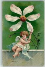 Serie 7004 Er liebt mich ..... Blüten zupfen AK Amor 1905