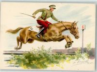 Springreiten Pferd
