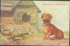 Hundehütte Türe kann geöffnet werden Eingeklebtes Privatfoto Paar Dackel Klapp AK