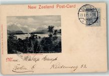 1905 - The Dart from Paradise