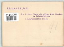 89584 W7930 Ehingen Donau FOTO KEINE AK Realschule Gymnasium Pensionat Original aufmontierte Verlagsmusterkarte