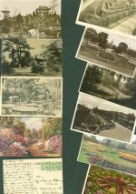 Lot mit 25 AK Garten Blumen Pflanzen Gartenbau Posten 21 bis 100 AK