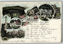 67814 W6765 Dannenfels , Pfalz 1897 Gebrauchsspuren Lithographie Waldhaus Ludwigs Turm Motkefels Falkenstein