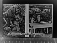 55583 W6552 Bad Münster-Ebernburg am Stein GLASNEGATIV Märchenhain Hüttental