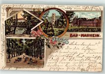 61231 W6350 Bad Nauheim 1900 Lithographie Badehaus Turm Ruderboot Kutsche Gruss Blumen