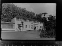 32545 W4970 Bad Oeynhausen GLASNEGATIV Café im Rosengarten