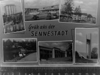 33175 W4792 Senne GLASNEGATIV Mehrfachbildkarte