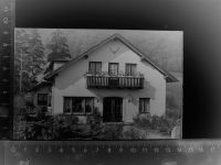37671 W3470 Bruchhausen GLASNEGATIV