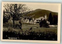Harrachov Harrachsdorf Foto AK