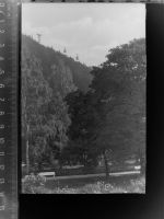 38667 W3388 Bad Harzburg GLASNEGATIV