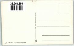 89073 W7909 Oberberghof , Donau Gebrauchsspuren Kühe