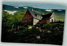 Alte schlesische Baude Foto AK Riesengebirge Ziege Pferd