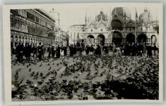 30100 Venezia Foto AK Tauben Piazza S. Marco