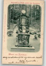 Karlovy Vary Karlsbad 1899 Foto AK Marienbild im Walde