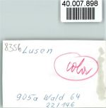94545 W8351 Schönbrunn am Lusen FOTO KEINE AK