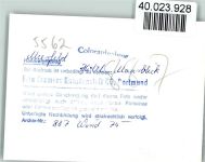54531 W5562 Meerfeld FOTO KEINE AK Hotel Maarblick Innenaufnahme Doppelzimmer