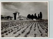 76889 W6749 Schweigen FOTO KEINE AK Weintor