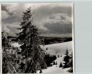 79677 W7869 Schönau im Schwarzwald FOTO KEINE AK Winter