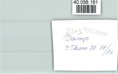 24351 W2343 Damp FOTO KEINE AK Segler