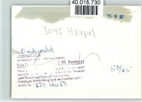 29646 W3045 Hörpel FOTO KEINE AK Haus Druhwald Innenaufnahme Turnhalle