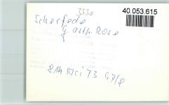 34414 W3530 Scherfede FOTO KEINE AK Gasthof Rose