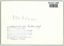 W8420 Kelheim Klosterkirche Deltenberg Innenaufnahme Wandgemälde Kirche FOTO KEINE AK