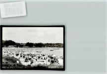 23629 W2401 Haffkrug FOTO KEINE AK Strandleben